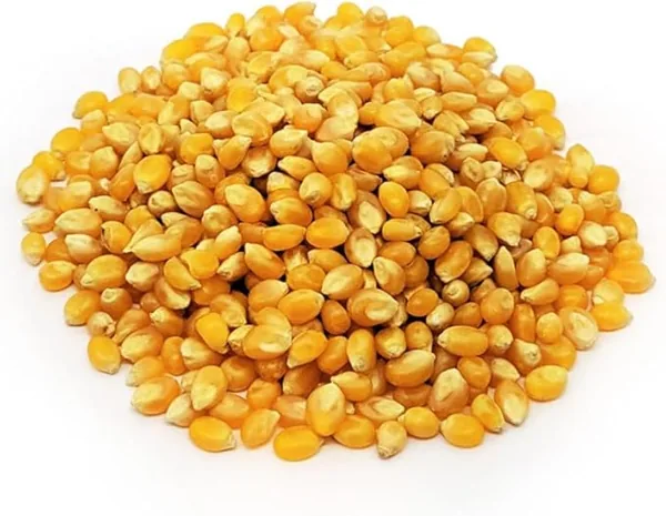 Milho de Pipoca Nacional (Pacote 5 kg)
